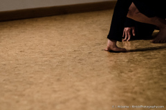 2015_12_dog_dance_01