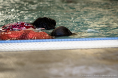 2015_02_gncl_15