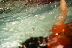 2015_02_gncl_17