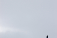 2009_04_sand_dunes_05