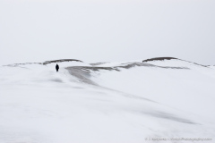 2009_04_sand_dunes_06