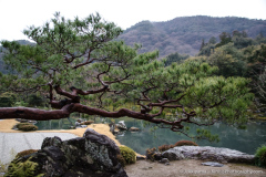2018_01_japan_05