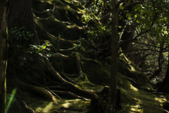 2018_01_japan_16