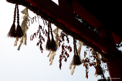 2023-03-Japan-06