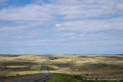 2016_07_roadtrip_01