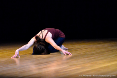 2014_01_sascaa_04