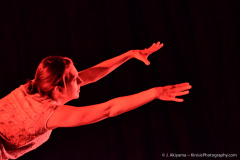 2014_01_sascaa_05