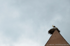 2006_strasbourg_02